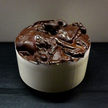 resine e quarzi, cm 26x19, 2010